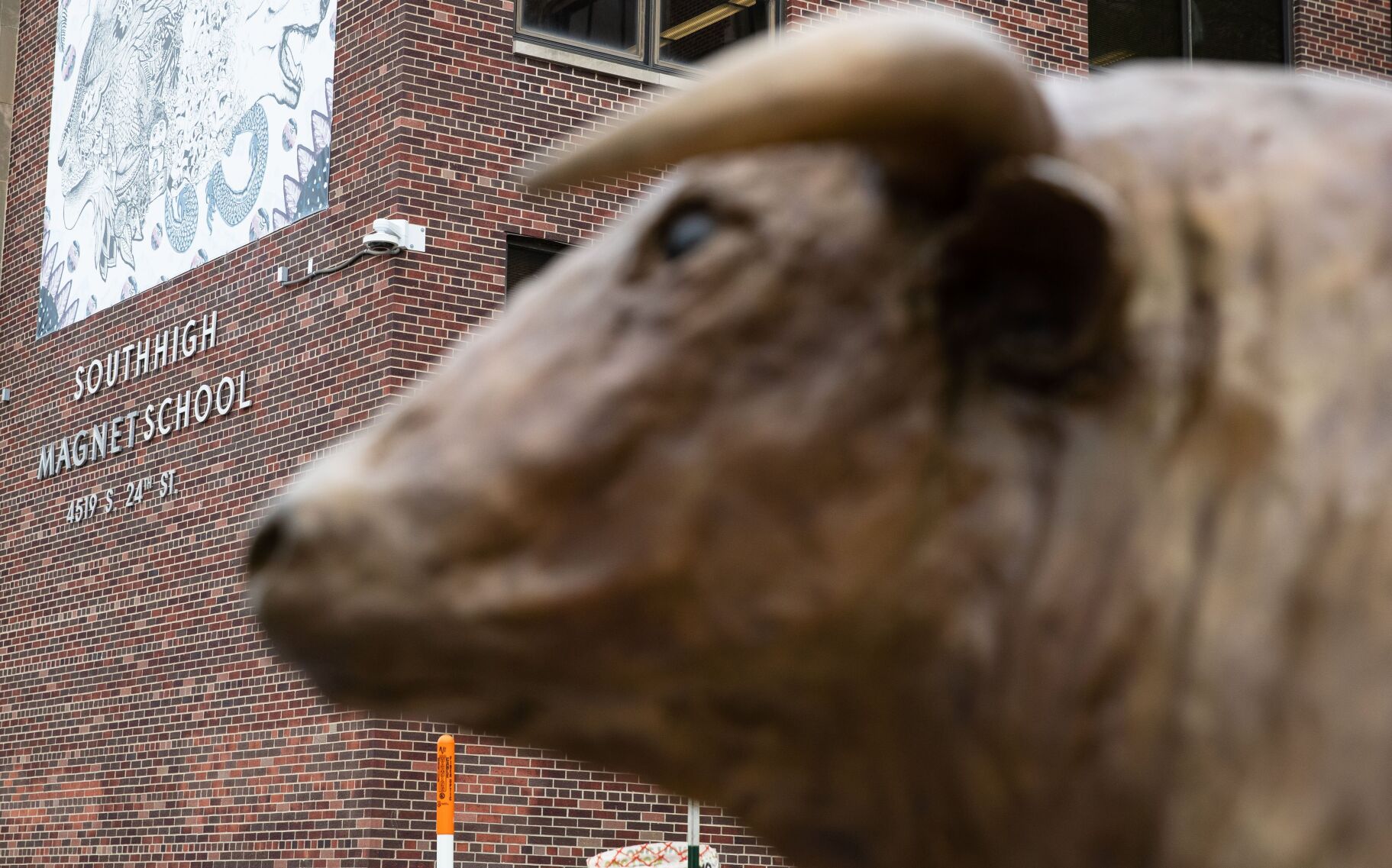 100721-owh-new-bull-em01.JPG